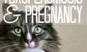 Toxoplasmosis and Pregnancy