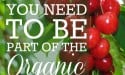 Why You Need To Be Part Of The Organic Revolution