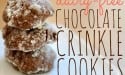 Dairy Free Chocolate Crinkle Cookies