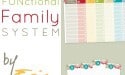 the functional family system