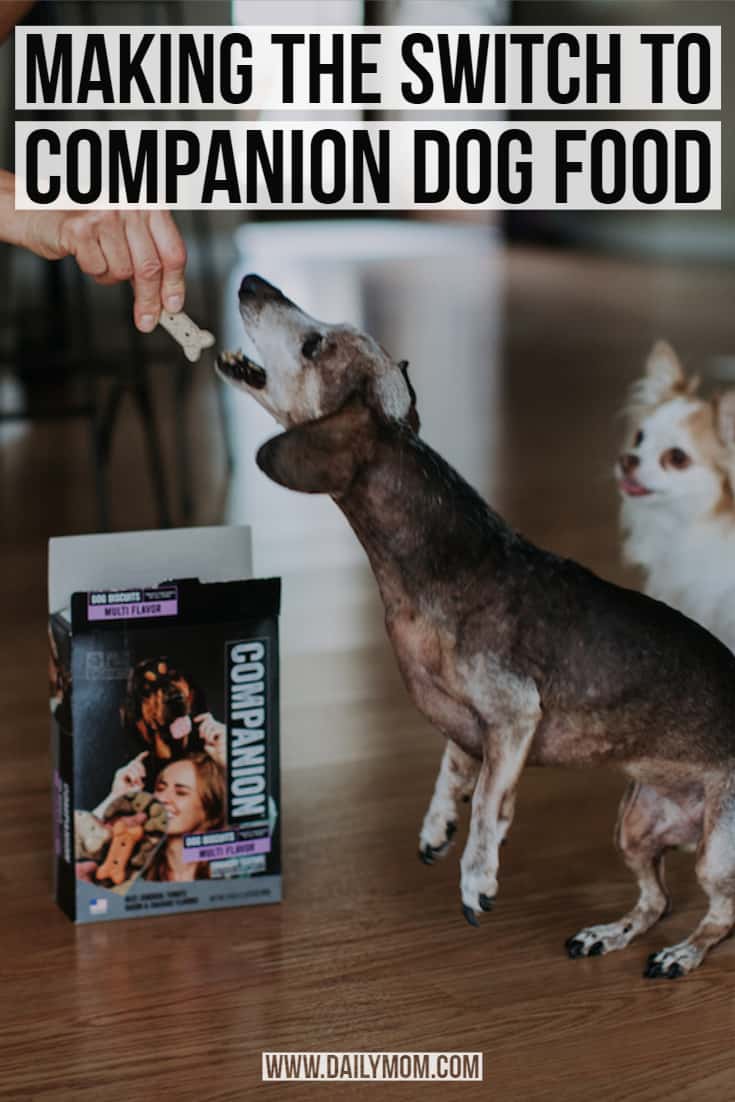 Companion Dog Food