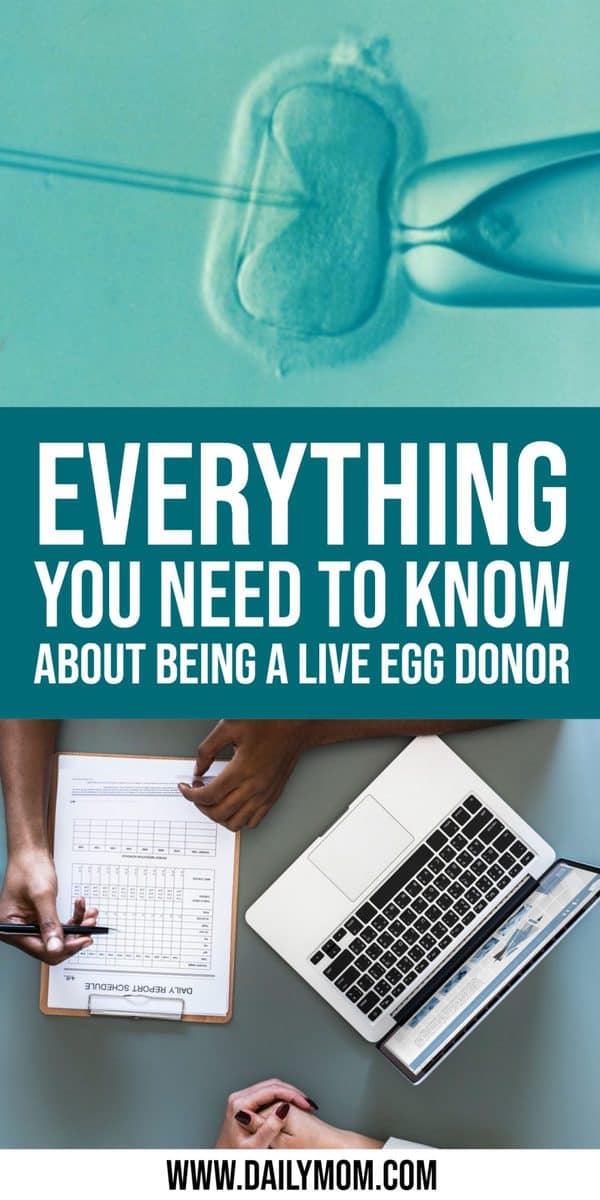 Everything You Need To Know About Being A Live Egg Donor