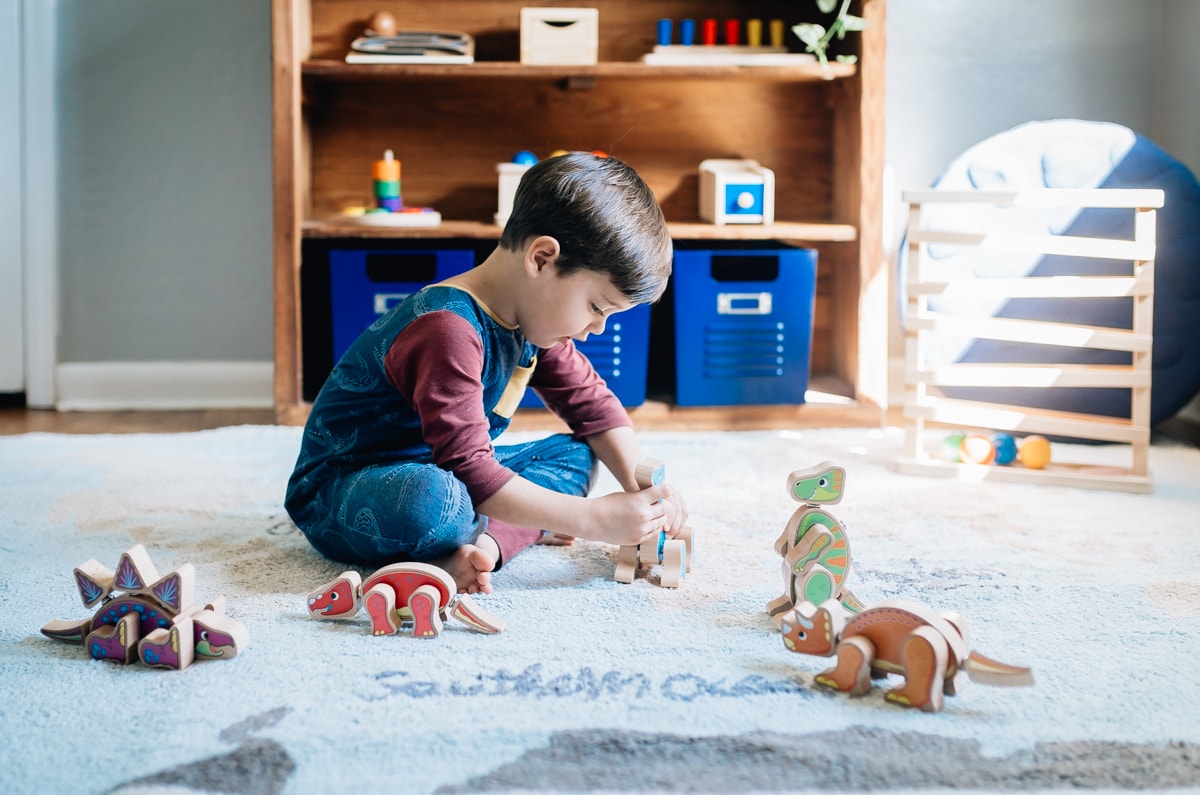 Lakeshore Hand-Eye Coordination Learning & Development Toys