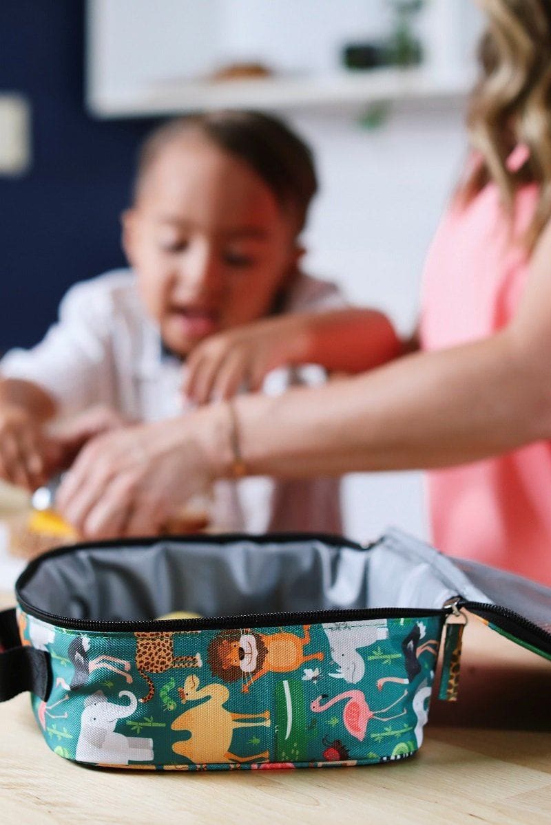 Back To School Kids Lunch Boxes And Cool Backpacks