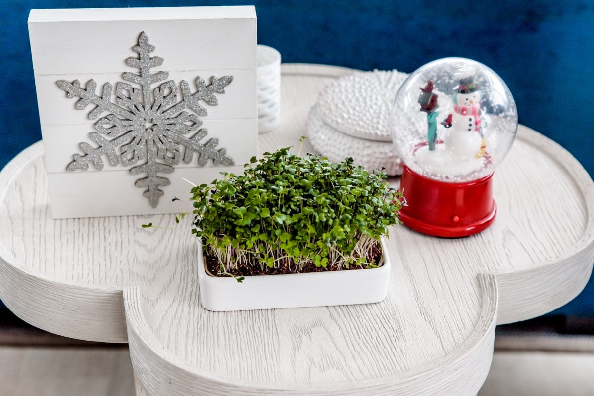 15 Top Gifts For Teachers On Christmas {2019}