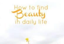 How To Find Beauty In Daily Life How To Find Beauty In Daily Life