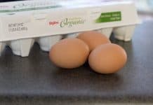 Good Protein Sources For Your Little Eater