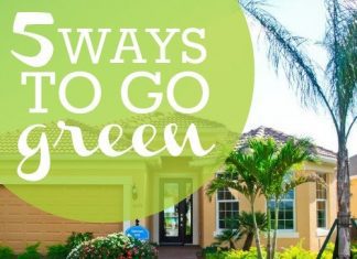 5 Ways To Go Green Home Edition