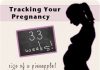 Tracking Your Pregnancy