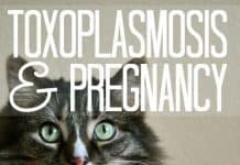 Toxoplasmosis And Pregnancy