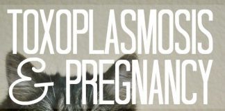 Toxoplasmosis And Pregnancy