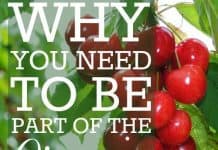 Why You Need To Be Part Of The Organic Revolution Why You Need To Be Part Of The Organic Revolution