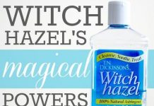 The ” Magic ” Powers Of Witch Hazel