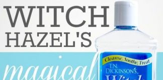 The ” Magic ” Powers Of Witch Hazel