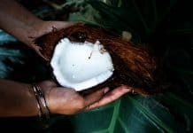 Homemade Coconut Milk