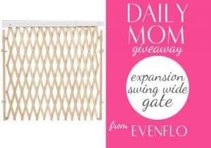 Day 10: Erin Condren Gift Card 4 Daily Mom, Magazine For Families