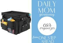 Day 15: One Step Ahead Car Organizer Day 6: Fairhaven Health Pregnancy Set