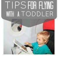 Tips For Flying With A Toddler » Read Now!