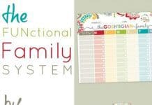 Functional Family System By Erin Condren