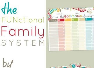 Functional Family System By Erin Condren