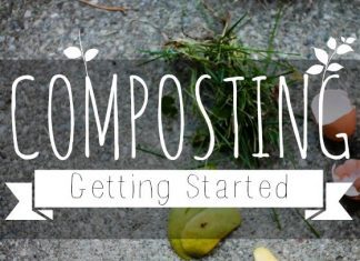 Composting Getting Started