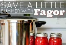 Save A Little Summer With Fagor