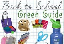 Bts Green Guide