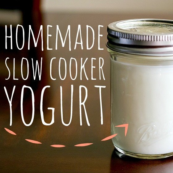 Homemade Slow Cooker Yogurt 1 Daily Mom, Magazine For Families