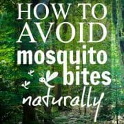 How To Avoid Mosquito Bites Naturally » Read Now!