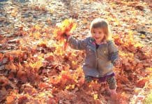 Fall Tradition Bucket List Fall Tradition Bucket List