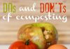 Dos And Donts Of Composting