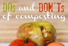 The Dos and Don’ts Of Composting Dos And Donts Of Composting