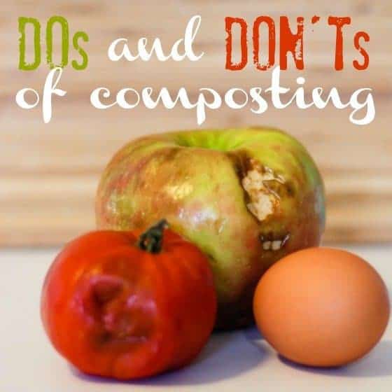 Dos And Donts Of Composting