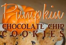 Pumpkin Choc Chip 2ndtry Copy