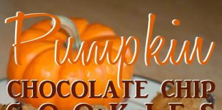 Pumpkin Choc Chip 2ndtry Copy