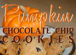Pumpkin Choc Chip 2ndtry Copy