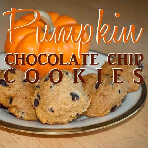 Pumpkin Chocolate Chip Cookies 1 Daily Mom, Magazine For Families