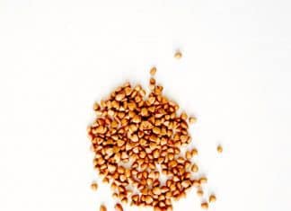 3 Grains You Should Add To Your Diet