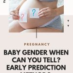 daily-mom-parent-portal-baby-gender-when-can-you-tell?