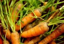 Nitrates In Homemade Baby Food