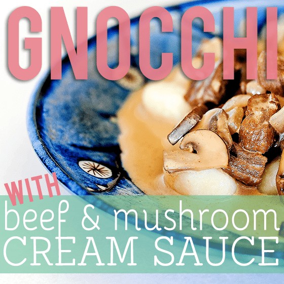 Gnocchi With Beef And Mushroom Cream Sauce 1 Daily Mom, Magazine For Families