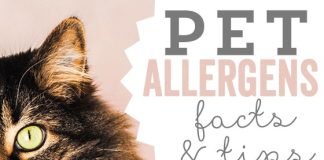 Pet Allergens: Facts And Tips