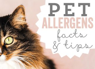 Pet Allergens: Facts And Tips