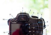 Getting To Know Your Canon Camera: Dslr Buttons