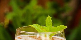Kombucha: An Alternative Drink For Summer