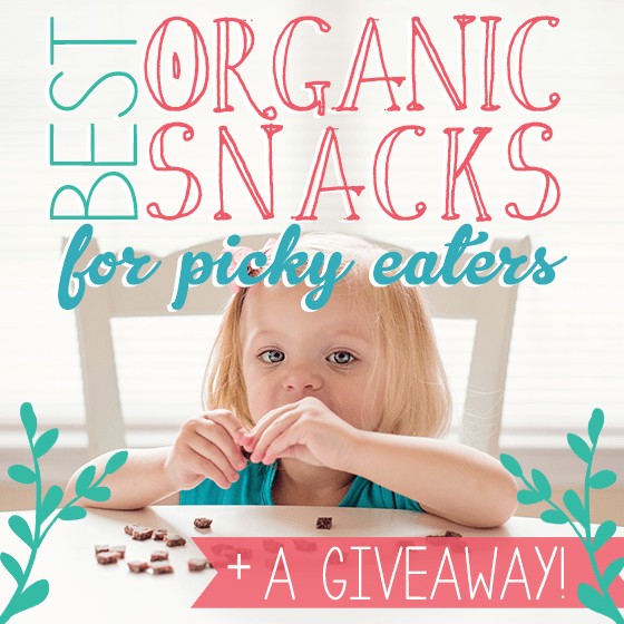 Organic On The Go - Toddler Edition3