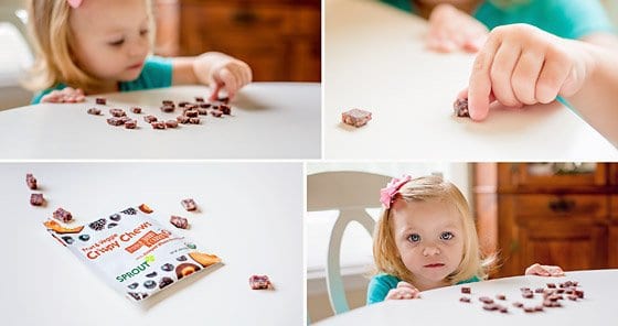 Best Organic Snacks For Picky Eaters Plus A Giveaway 2 Daily Mom, Magazine For Families
