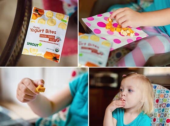 Best Organic Snacks For Picky Eaters Plus A Giveaway 4 Daily Mom, Magazine For Families