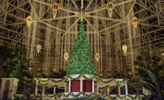 Celebrating The Holidays With Gaylord Palms Orlando 15 Daily Mom, Magazine For Families