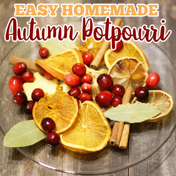 Easy Homemade Autumn Potpourri 7 Daily Mom, Magazine For Families